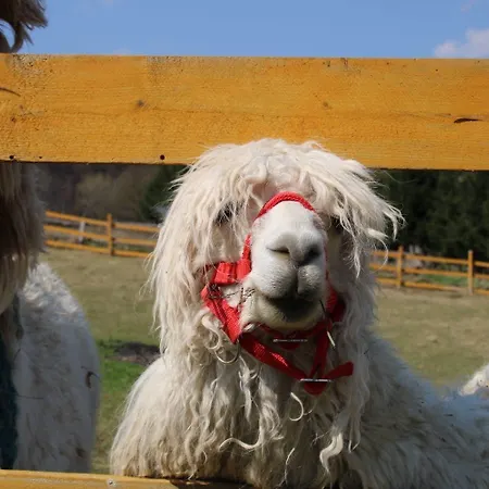 Appartement Agroturystyka Alpaka Konradow Konradow (Lower Silesia)