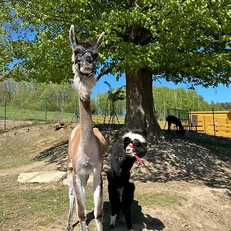 Appartement Agroturystyka Alpaka Konradow Konradow (Lower Silesia)
