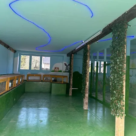 Agroturystyka Alpaka Konradow Konradow (Lower Silesia)