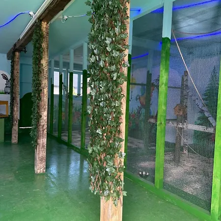 Appartement Agroturystyka Alpaka Konradow