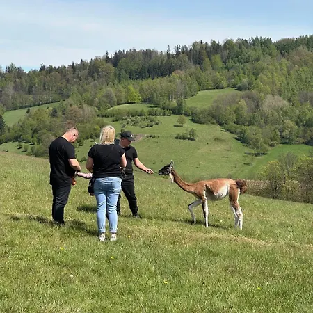 Appartement Agroturystyka Alpaka Konradow *