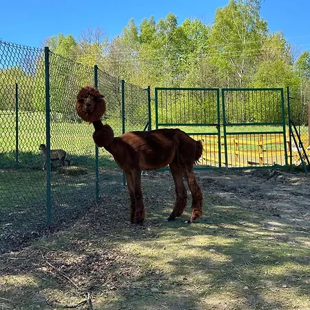 Appartement Agroturystyka Alpaka Konradow Konradow (Lower Silesia)