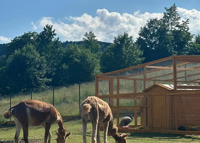 Agroturystyka Alpaka Konradow Apartmán *