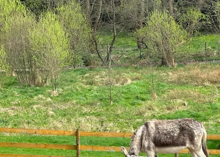 Apartmán Agroturystyka Alpaka Konradow Konradow (Lower Silesia)