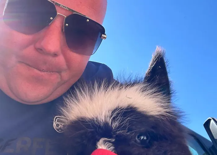 Apartmán Agroturystyka Alpaka Konradow