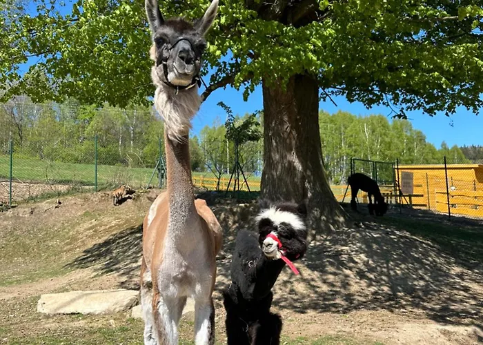 Apartmán Agroturystyka Alpaka Konradow Konradow (Lower Silesia)