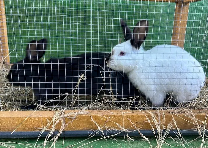 Apartmán Agroturystyka Alpaka Konradow