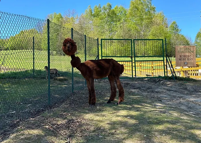 Apartmán Agroturystyka Alpaka Konradow Konradow (Lower Silesia)